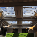 raamfolie OMGEVINGS DIENST RIVIERENLAND TIEL